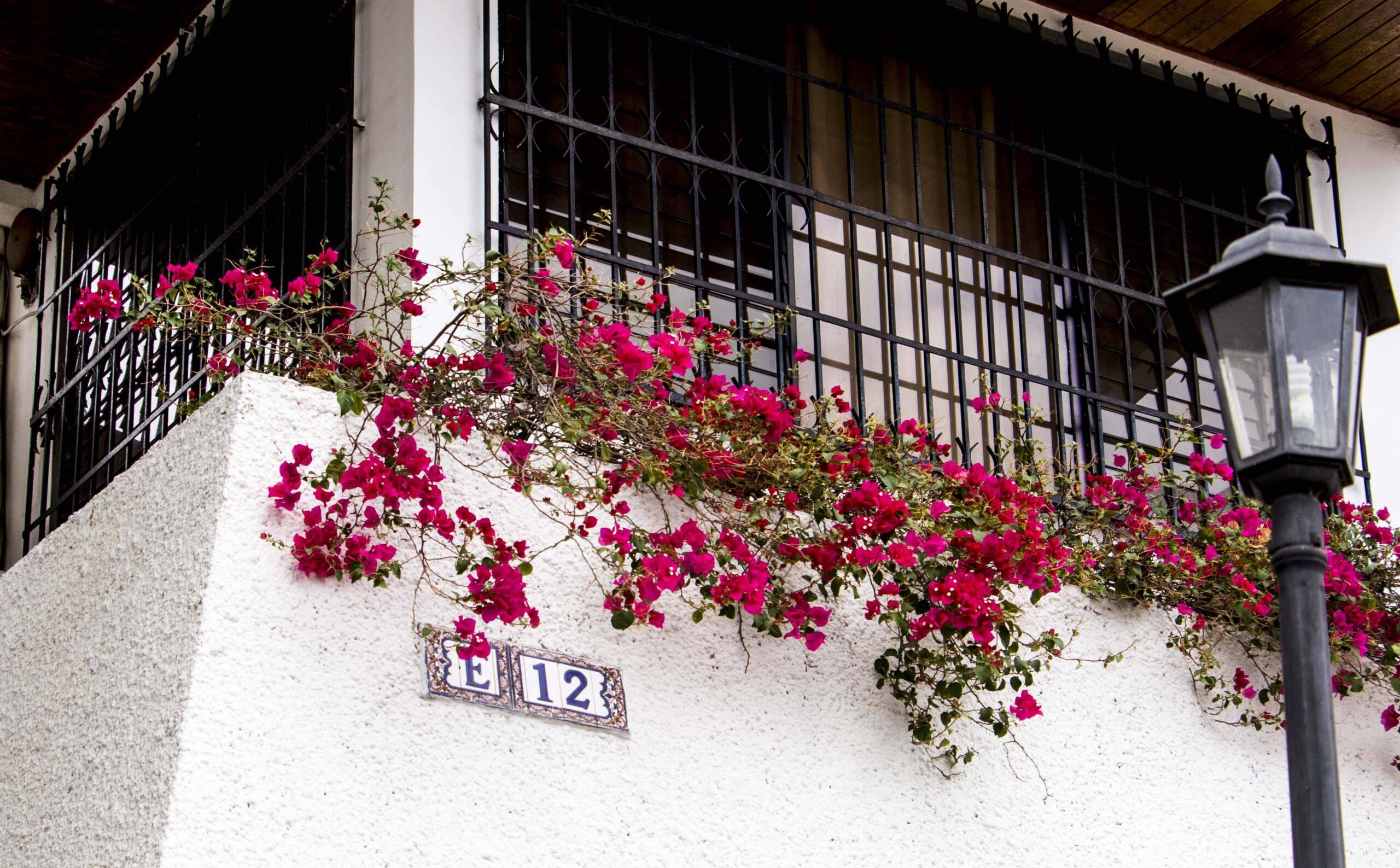 Hotel Panama